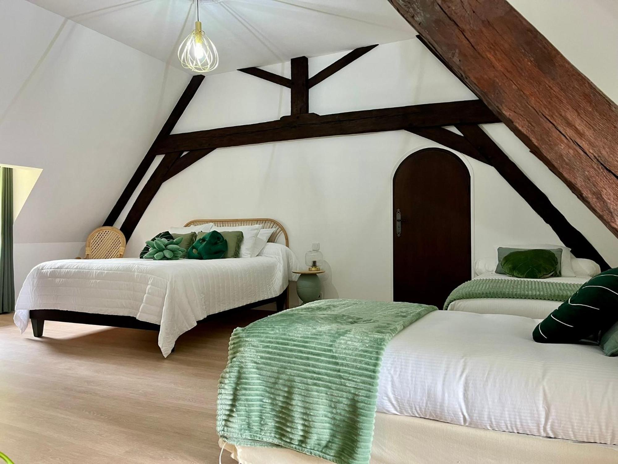 مبيت وإفطار Ourouer-les-Bourdelins O2 Tours المظهر الخارجي الصورة
